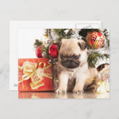 Pugs en kerstcadeaus feestdagenkaart (Voorkant / Achterkant)