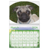 Pugs Galore Agenda Kalender (Mar 2026)