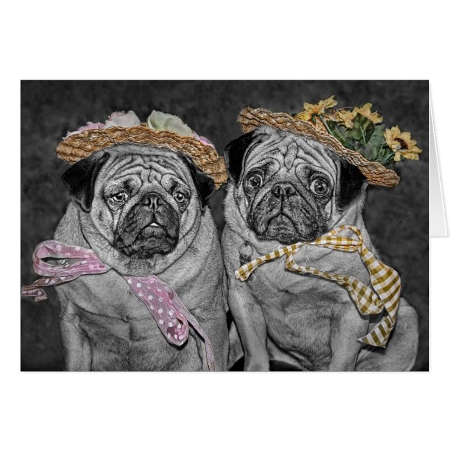 Pugs in Bonnets (Voorkant Horizontaal)
