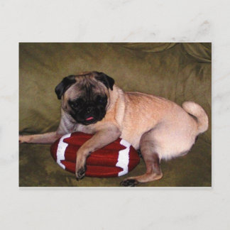 Pugs Love Football. Briefkaart