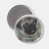 Pugs magneet (Voorkant / Achterkant)