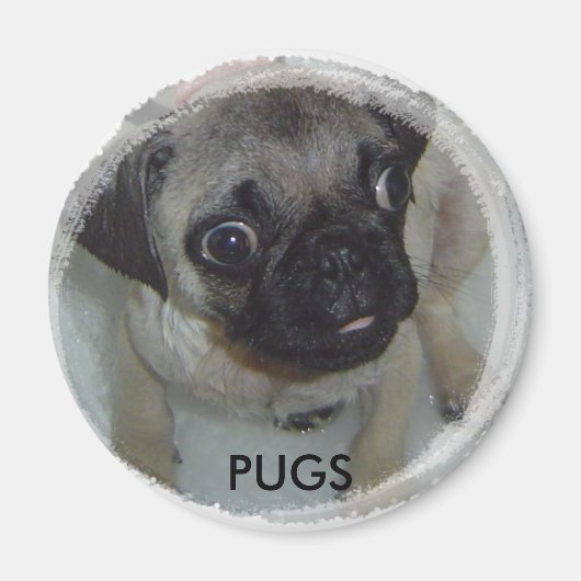Pugs magneet (Voorkant)