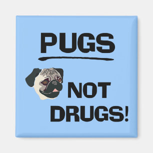 Pugs Not Drugs Magnet Magneet