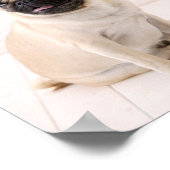 Pugs Not Drugs Poster (Hoek)