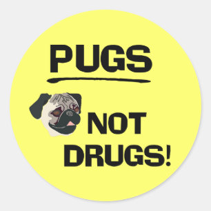 Pugs not Drugs Sticker