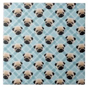 Pugs op blauwe schaal tegeltje