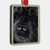 Pugs Parly White Teeth Ornament (Rechts)