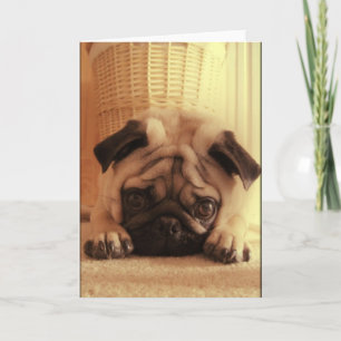 Pugs van SweetPea Wenskaart Kaart