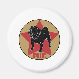 pugster magneet
