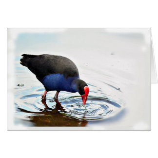 Pukeko Card