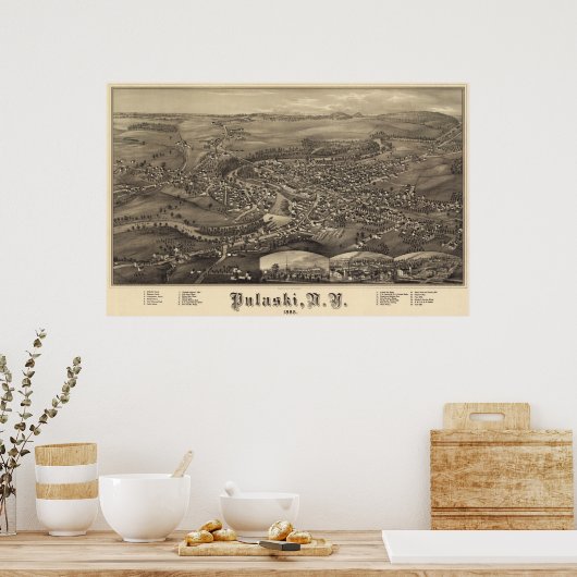 Pulaski, New York Oiseau vue 1885 Poster (Cuisine)