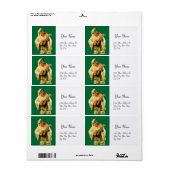 PULCINELLA MET MANDOLIN groen wit Etiket (Full Sheet)