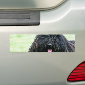 Puli Dog Bumpersticker (Op auto)