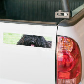 Puli Dog Bumpersticker (Op Truck)