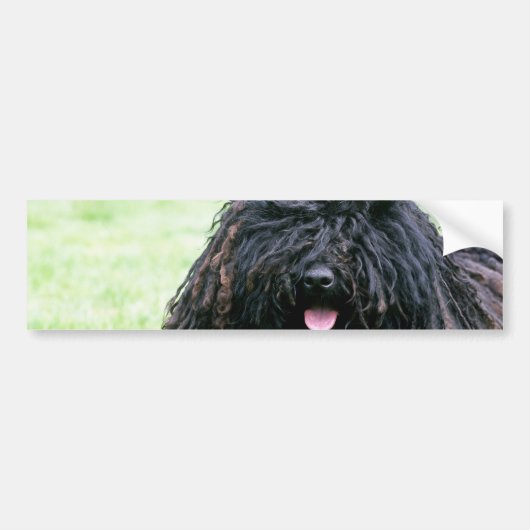 Puli Dog Bumpersticker (Voorkant)