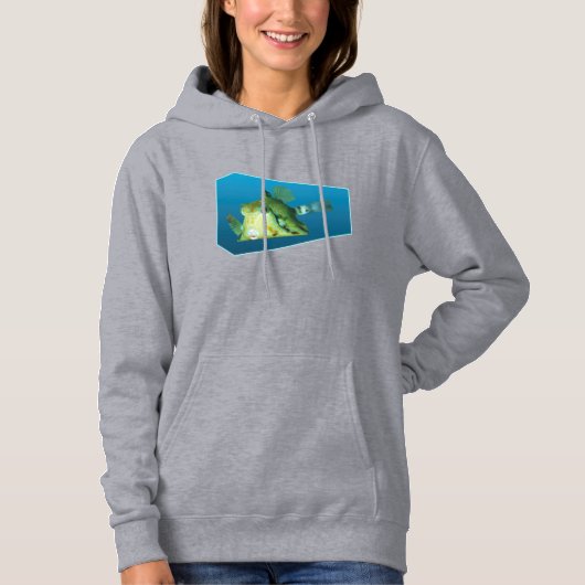 Pull À Capuche Boxfish - Dégradé de fond bleu design | (Devant)