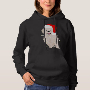 Pull À Capuche Chiot du laboratoire de Noël