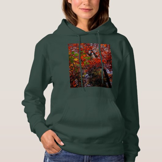 Pull À Capuche Feuilles d'automne (Devant)