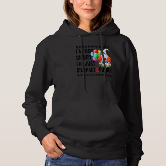 Pull À Capuche Gnome Clown Anniversaire Pour Les Femmes Et Les En (Devant)