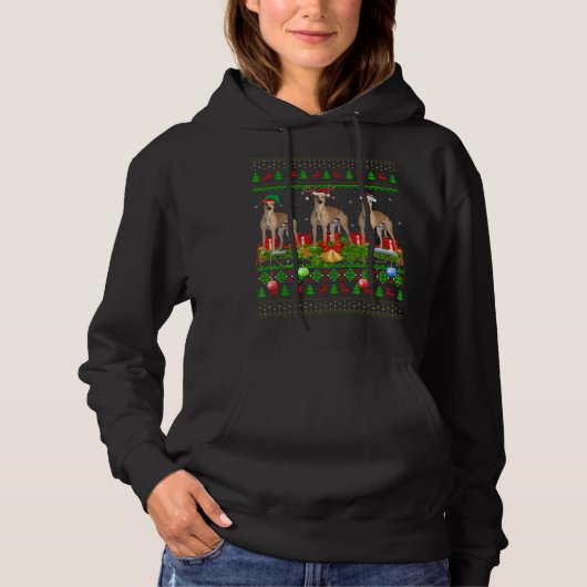 Pull À Capuche Greyhound Chien Xmas Éclairage Père Noël Greyhound (Devant)