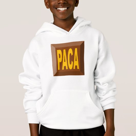 PULL A CAPUCHE HANE BLANC PACA (Devant)