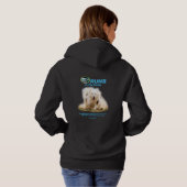 Pull À Capuche Icey FastCAT 2025 (Dos entier)