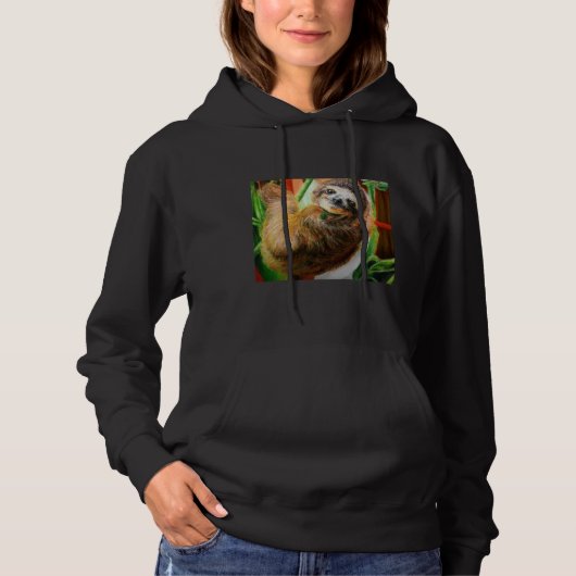 Pull À Capuche Jante 37 (Devant)