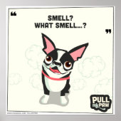 Pull My Paw - Poster 04 (Devant)