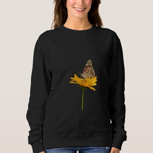 Pullover (Devant)