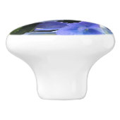 Pulls Blue Paars en Green van de ventilatorlade vo Keramische Knop (Zijkant)