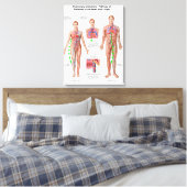 Pulmonaire embolie, route van embolus canvas afdruk (Insitu (Slaapkamer))