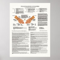 Pulse Diagnosis Acupunctieschema