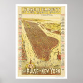 Pulse van New York Map 1891 Poster (Voorkant)