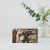 Puma Cat Visitekaartje (Staand voorkant)