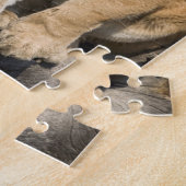 Puma of berengleeuw, puma-concolor, Captive - Legpuzzel (Zijkant)