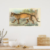 Puma Poster (Keuken)