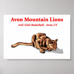 Pumas d'Avon - affiche de club de basket-ball