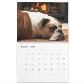 Pumbaa Kalender (Feb 2026)