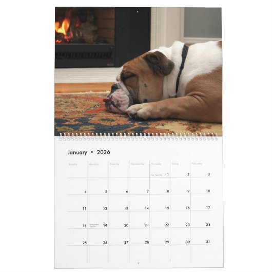 Pumbaa Kalender (Jan 2026)