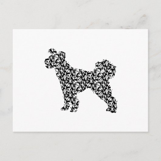 Pumi Briefkaart (Voorkant)