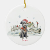 Pumi Waterverf hondenmonogram Keramisch Ornament (Voorkant)