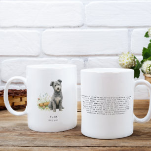 Pumi-waterverfHond   Zeldzaam Ras Koffiemok