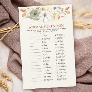 Pumpkin Animal Gontest Baby shower Games