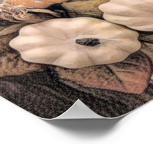 Pumpkin Autumn Oranje White Brown  Antiek Poster (Hoek)