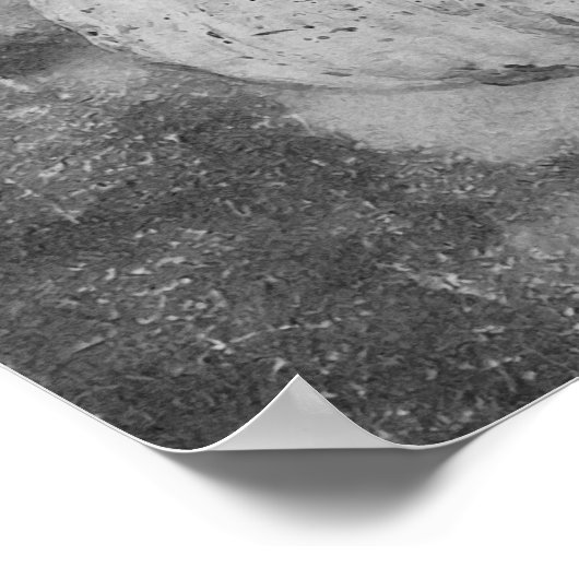 Pumpkin Autumn , zwart en wit Poster (Hoek)