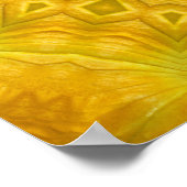 Pumpkin Blossom Kaleidoscope Poster (Hoek)