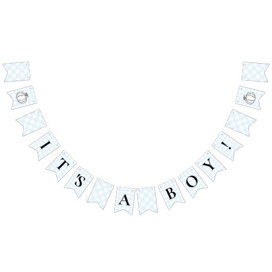 Pumpkin Blue Gingham Baby shower Bunting Flags Vlaggetjes (Alle)