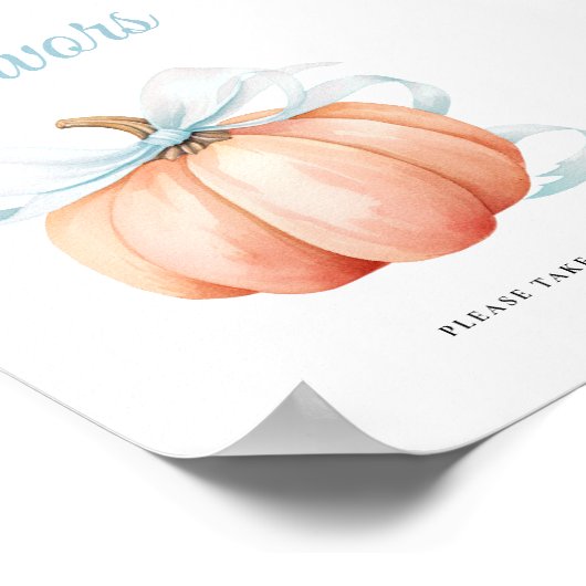 Pumpkin Bow Baby Shower Favors Table Sign Poster (Coin)