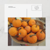 Pumpkin Bundle Briefkaart (Voorkant / Achterkant)