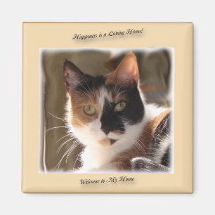 Pumpkin Cat Geluk Magnet Magneet